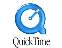 QuickTime_E[hpoi[摜